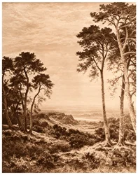 Coucher de soleil après la pluie, 1903