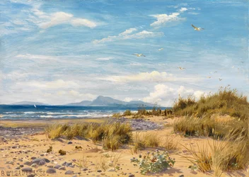 La côte du Carnarvonshire