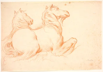 Deux hippocampes