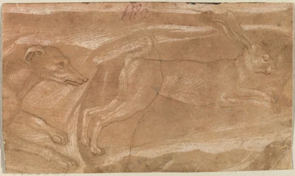 Un chien chassant un lièvre