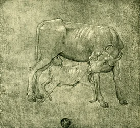 Vache et veau, milieu-fin du XVe siècle, 1943