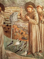 Histoires de la vie de Saint François, prêchant aux oiseaux (1452), Cycle de fresques par Benozzo Gozzoli, tribune absidale, Église de Saint François, Montefalco