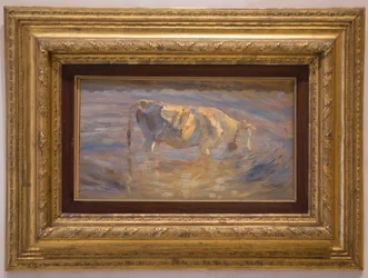 Vache