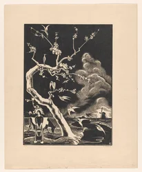Arbre avec des hérons