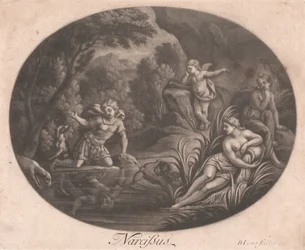 Narcisse