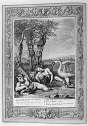 Cygnus transformé en cygne (gravure)