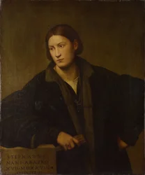 Portrait de Stefano Nani, 1528