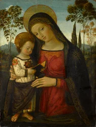 Madone et enfant, vers 1490-1495