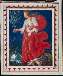 Bibliothèque Piccolomini, plafond, panneau avec allégorie de la Paix, fresque de Bernardino di Betto, dit Pinturicchio