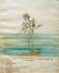 Nymphe marine