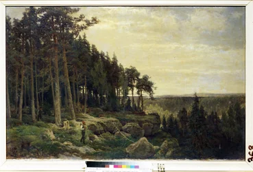 Un bûcheron et un chasseur dans un paysage de forêt