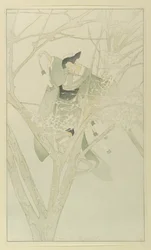 Yuki-Anna, Le gel