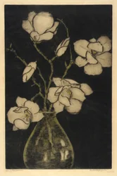 Fleurs de printemps (Magnolia arborescent)