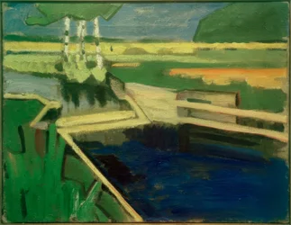 Bouleaux près du barrage