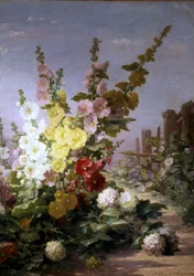 Fleurs d