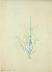 Buissons près du lac, 1893