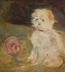 Chien au ballon
