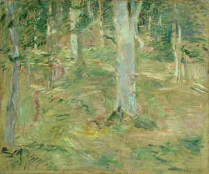Forêt de Compiègne