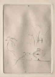 Le Canard
