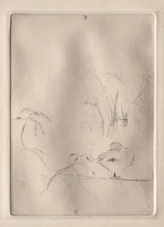 Le Canard