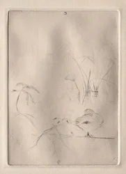 Le canard, 1888-90