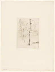 Le lac du bois de Boulogne