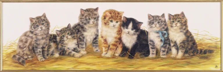 Sept chatons
