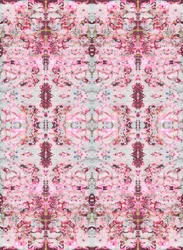 Burgandy Rose, 2015 (technique mixte, illustration, numérique)