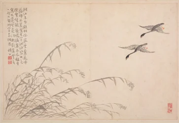 Album de calligraphie et de peintures