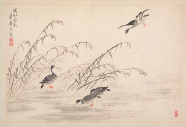 Album de calligraphie et de peintures