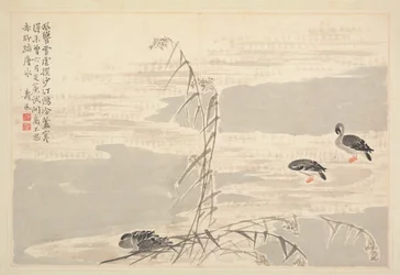 Album de calligraphie et de peintures