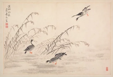Album de calligraphie et de peintures, 18e siècle
