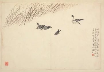 Album de calligraphie et de peintures, 18ème siècle