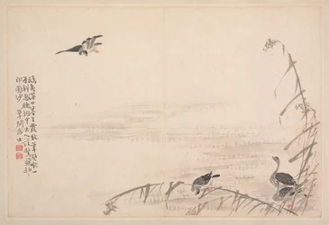 Album de calligraphie et de peintures, 18ème siècle