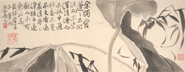 Feuilles de lotus et roseaux d