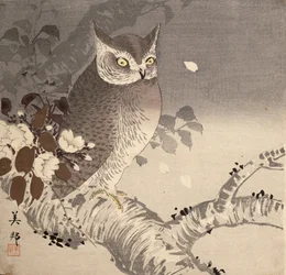 Un hibou sur une branche d