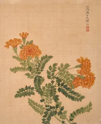 Album de fleurs (encre et couleur sur soie)