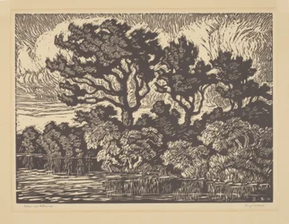 Saule et peuplier, vers 1931 (linogravure)
