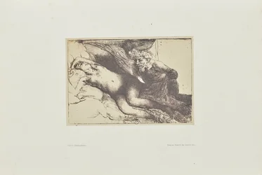 [Jupiter et Antiope : la plus grande plaque]