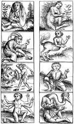 Croyances et superstitions populaires, 1493 1849