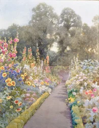 Chemin de jardin avec roses trémières et coquelicots