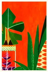 Plantes tropicales aux couleurs éclatantes