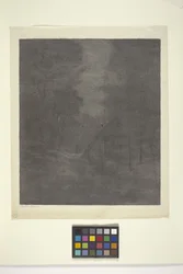 Bois Au Clair De Lune