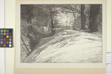 Rochers et arbres