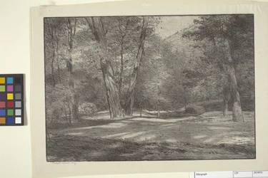Bois de la Sierra
