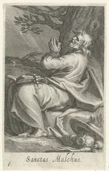 Saint Malchus de Chalcis en ermite (Kluizenaars, Sacra eremvs ascetarvm)