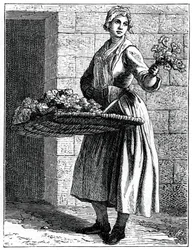 Mes beaux œillets!, 1737-1742