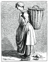 Huîtres dans la coquille!