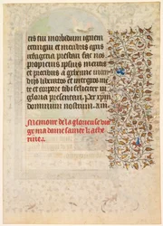 Feuille d