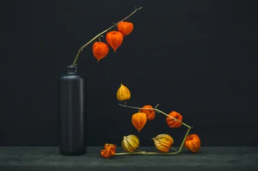 Lueur de lanternes chinoises